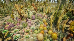 【UE】仙人掌植物 沙漠花园  Cactus Plants  Desert Garden