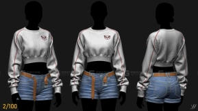 卫衣毛衣 Clothes challenge 2-100