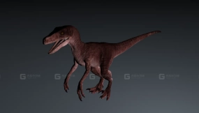 Austroraptor - 南方盗龙