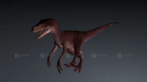 Austroraptor - 南方盗龙