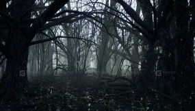 【UE】黑暗森林  Dark Forest
