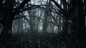 【UE】黑暗森林  Dark Forest