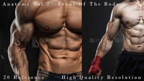20张肌肉男性身体正面参考图片 Front_Of_The_Body_Vol_2