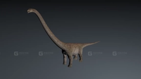马门溪龙 Mamenchisaurus 0