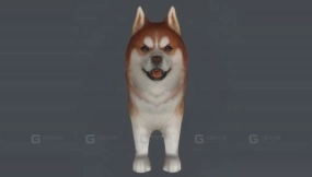 哈士奇 Husky 21