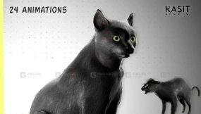 黑猫动画  Black Cat Animated