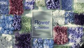 花卉集合 Flowers Collection
