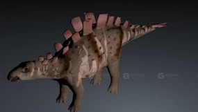 乌尔禾龙 Wuerhosaurus 0