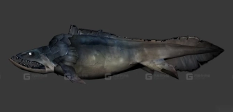 鱼 Fish 19
