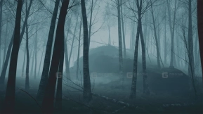 【UE】恐怖森林  Horror Forest