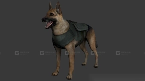 狗狗军团 Doggy Army 17