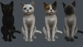 猫 Cat 23
