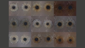 XYZ_Iris多通道眼睛贴图texturingxyzXYZ_Iris multi-channel eye texture texturingxyz