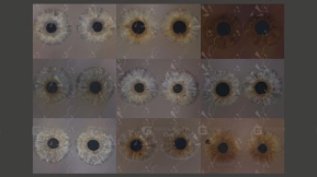 XYZ_Iris多通道眼睛贴图texturingxyzXYZ_Iris multi-channel eye texture texturingxyz