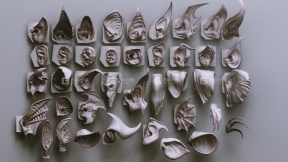 ZBrush怪物生物耳朵笔刷模型预设 40 ZBrush VDMs
