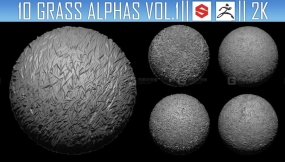 10组草地草丛杂草Alpha贴图