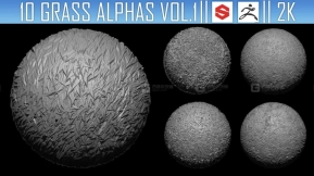 10组草地草丛杂草Alpha贴图