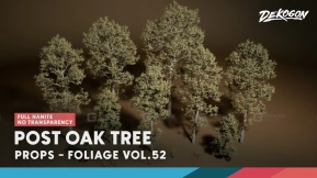 【UE5.1】植被VOL.52 - 沼生橡树（无透明纳米） Foliage VOL.52- Post Oak Tree (No Transparency Nanite)