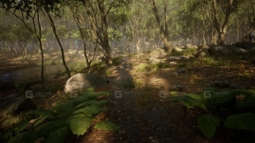 【UE】叶片树木森林生物群系  Leaf Tree Forest Biome