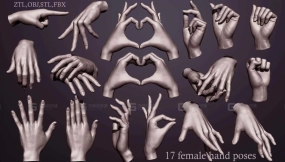 17种扫描女性手势模型 3D Female hand poses model
