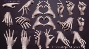 17种扫描女性手势模型 3D Female hand poses model
