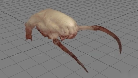 猎头蟹 Headcrab 27