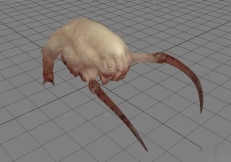 猎头蟹 Headcrab 27