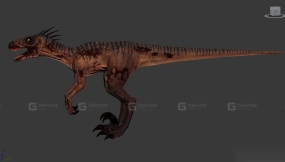 Raptor - 迅猛龙
