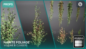 【UE】Nanite植被攀援植物资源vol.5 Nanite Foliage Vol5 Climbers