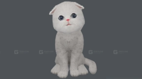 猫 Cat 17