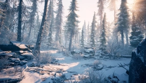 【UE】冬季环境 - 自然素材包  Winter Environment - Nature Pack