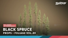 【UE】植被系列第49卷 - 黑云杉（纳米级技术 - 无透明效果）  Foliage VOL.49 - Black Spruce (Nanite - NO TRANSPARENCY)