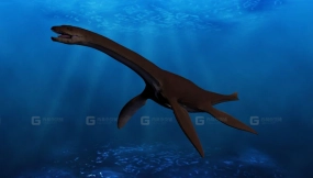 蛇颈龙 Plesiosaurus 0