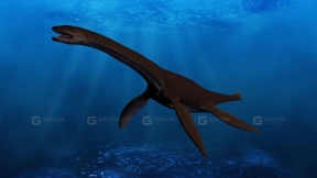 蛇颈龙 Plesiosaurus 0