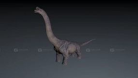 Brachiosaurus - 腕龙