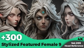 300+风格化女性头部zbrush雕刻角色射击参考图像（4K） +300 Stylized Featured Female 9 Head Sculpt Reference Images(4k)