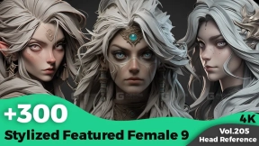 300+风格化女性头部zbrush雕刻角色射击参考图像（4K） +300 Stylized Featured Female 9 Head Sculpt Reference Images(4k)