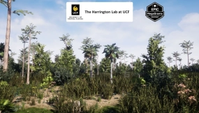 【UE】盆地沼泽生境灌木资源 Basin Swamp Habitat Brush