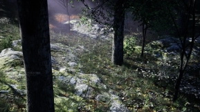 【UE】阴暗森林  Shady Forest