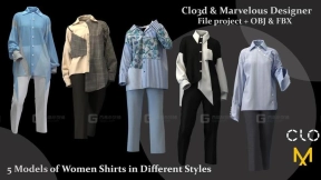 5件女式衬衫休闲长裤外套模型 