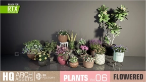 【UE】HQ植物集 第6卷（开花植物）  HQ Plants Vol. 6 ( Flowered Plants )