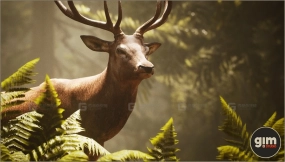 【UE】动物界 - 红鹿（雄性）  Animalia - Red Deer (male)