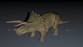 Triceratops - 三角龙