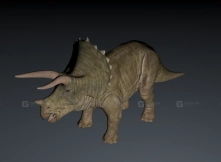 Triceratops - 三角龙