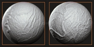 40个皮肤血管静脉青筋笔刷 Veins Package