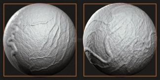 40个皮肤血管静脉青筋笔刷 Veins Package