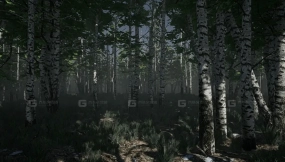 【UE】白桦套装  Birch Set