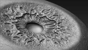 高质量写实眼睛眼珠瞳孔眼球模型