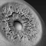 高质量写实眼睛眼珠瞳孔眼球模型