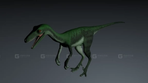 皮克托龙 Pectinodon 0